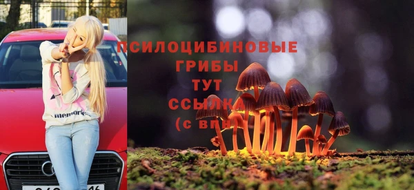 PSILOCYBIN Володарск